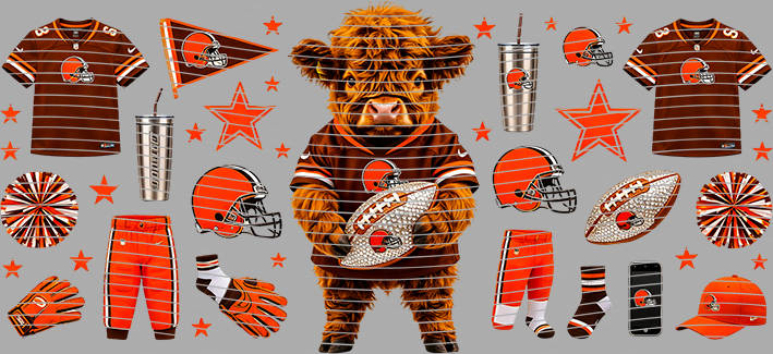 16oz team-NFL 3445